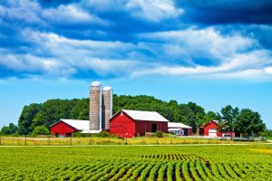 Farm Insurance in Baxter, Crow Wing County, MN